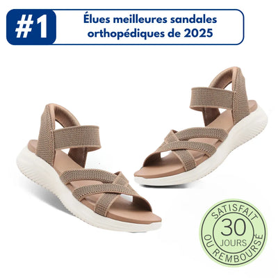 Kaki (rupture de stock)