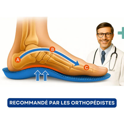 Paire de semelles orthopédiques